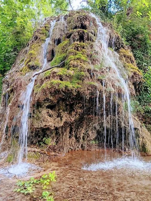 Villa Le Mas Les Salamandres Lorgues France