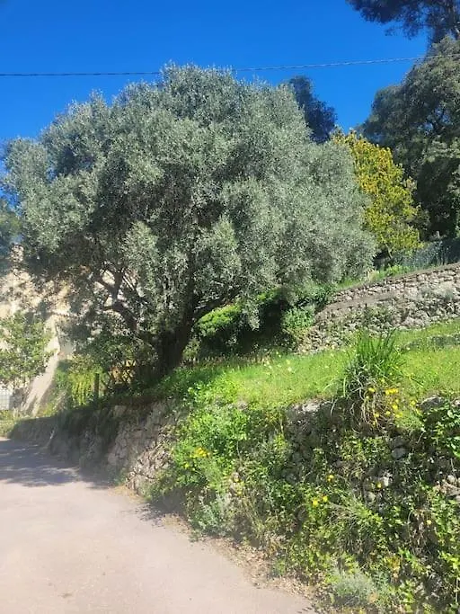 Villa Le Mas Les Salamandres Lorgues