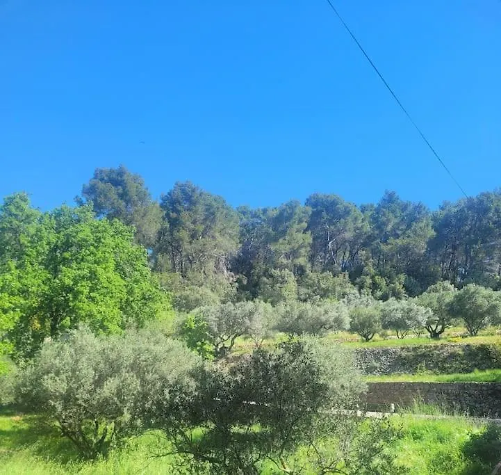 Le Mas Les Salamandres Lorgues 0*,  France