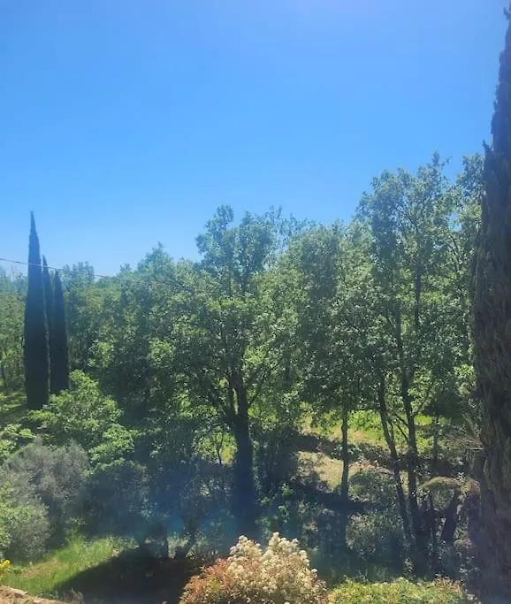Le Mas Les Salamandres Lorgues Villa