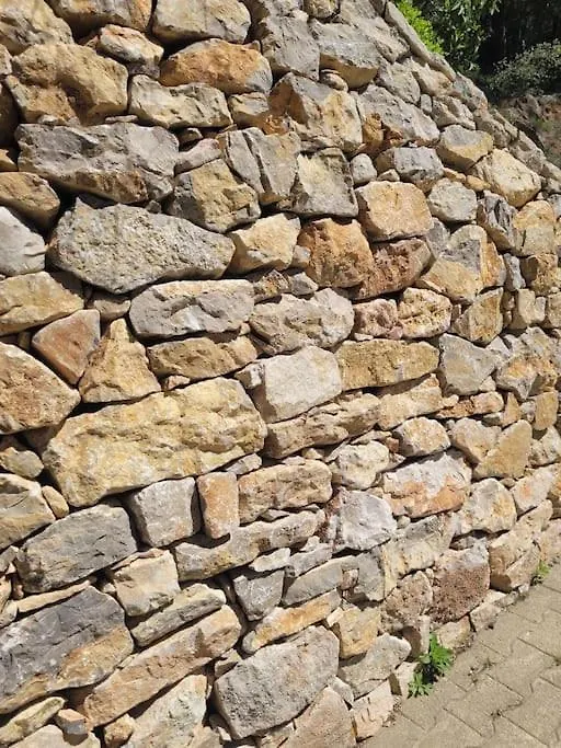 Le Mas Les Salamandres Lorgues Villa